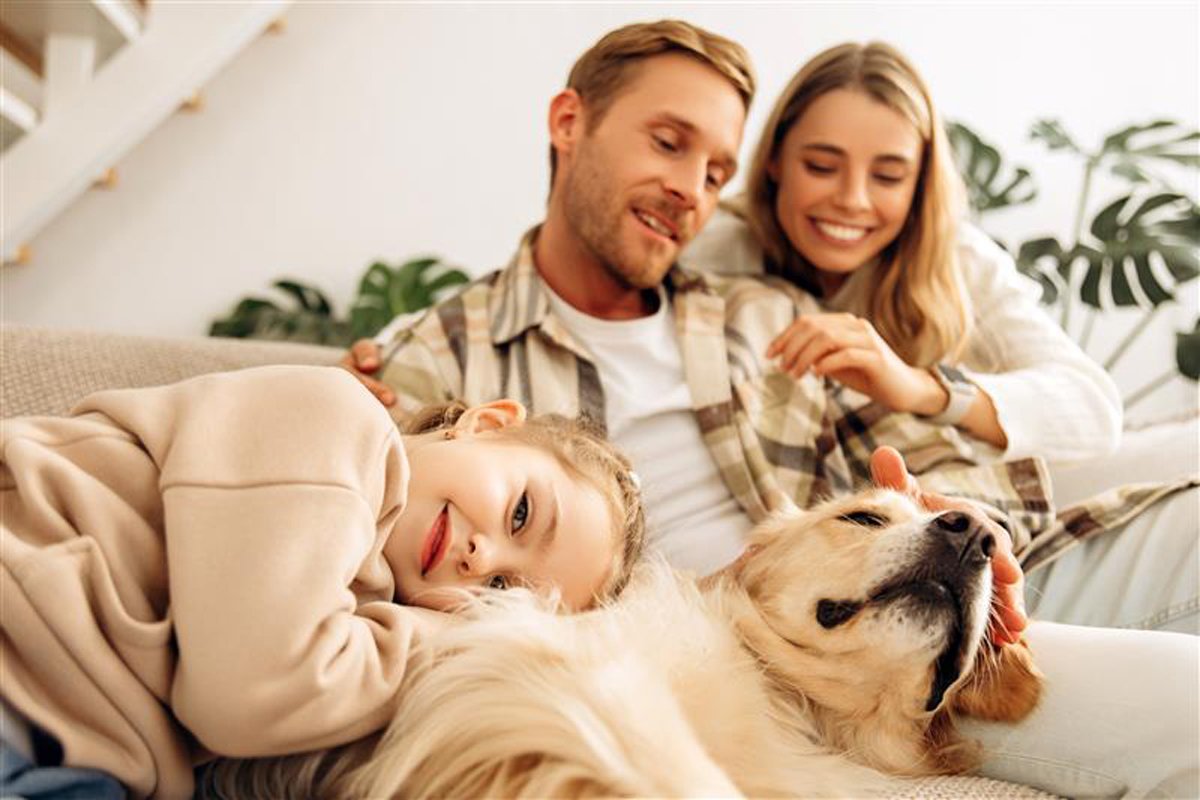 •  Fotó: Shutterstock