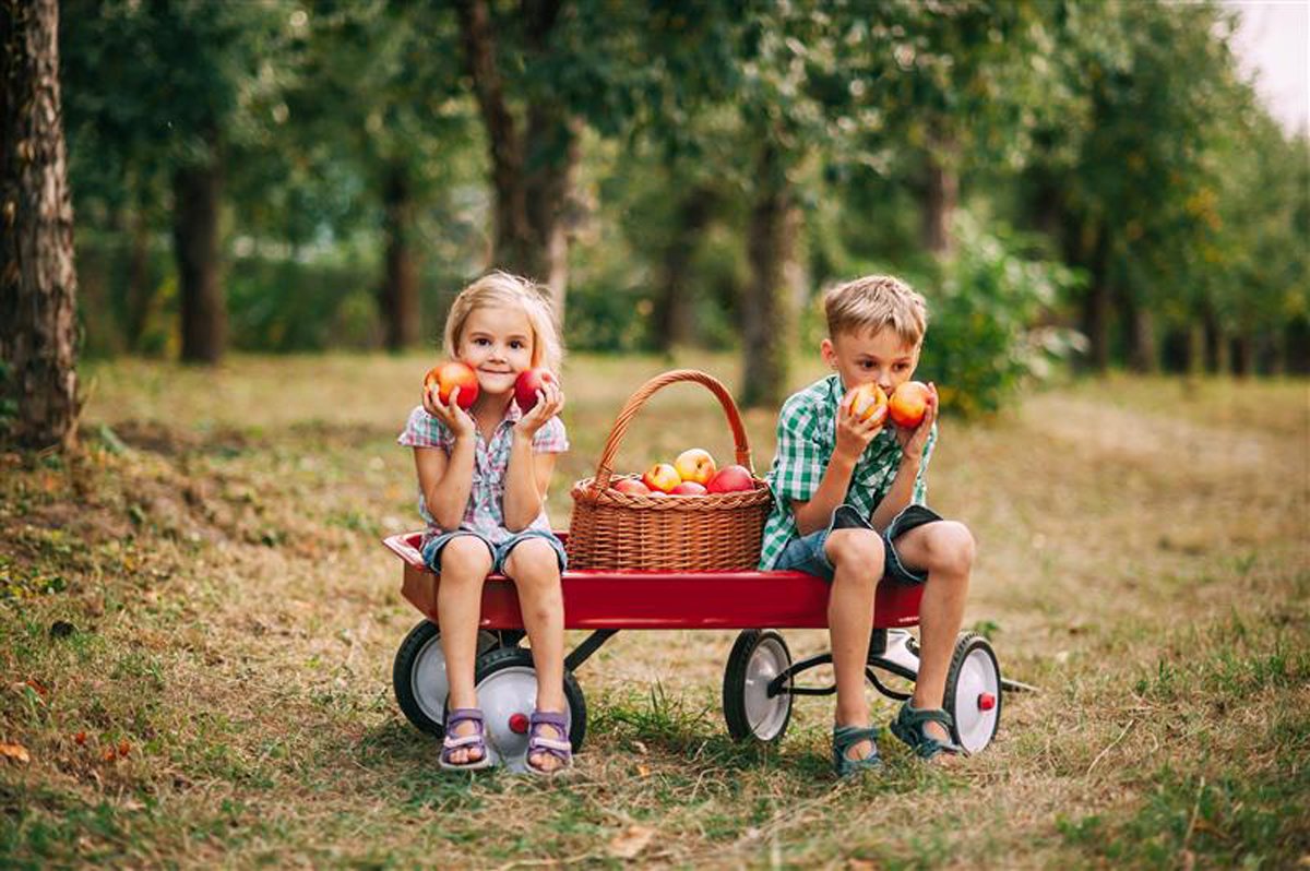 •  Fotó: Shutterstock