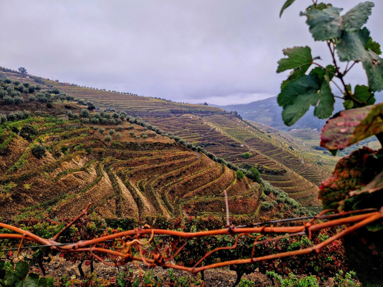 Hosszú-hosszú kilométereken át ilyen látvány kíséri utunkat