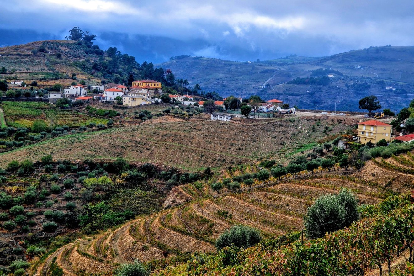 •  Fotó: Kocsis Károly