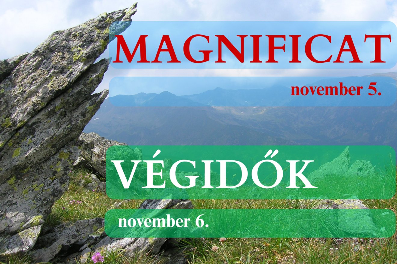 •  Fotó: Mustármag Közösség