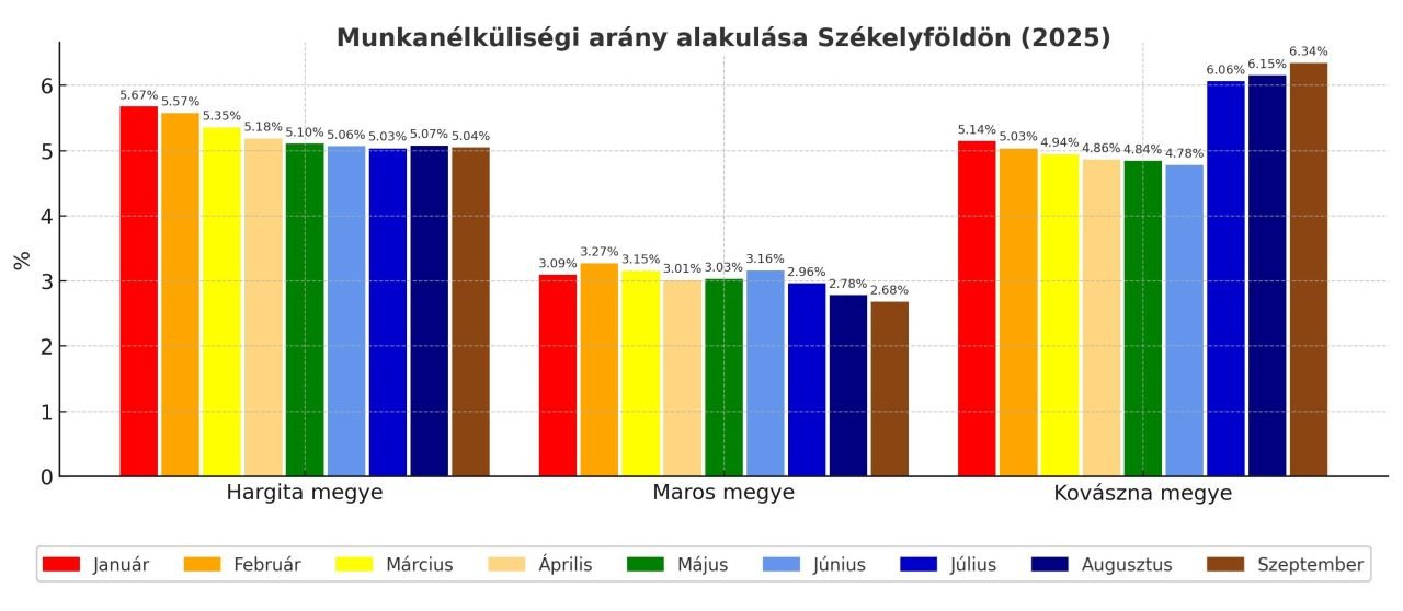 •  Fotó: Székelyhon