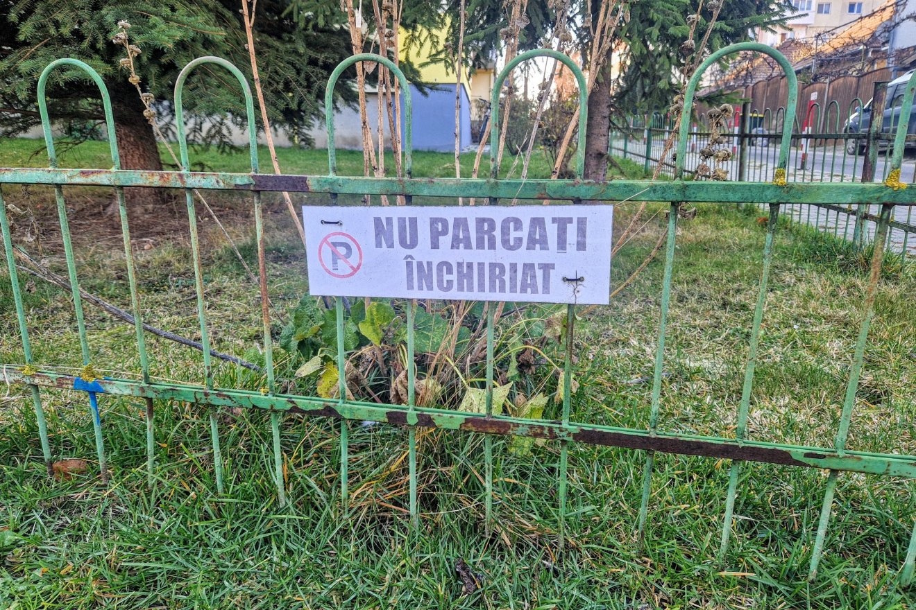 •  Fotó: Kocsis Károly