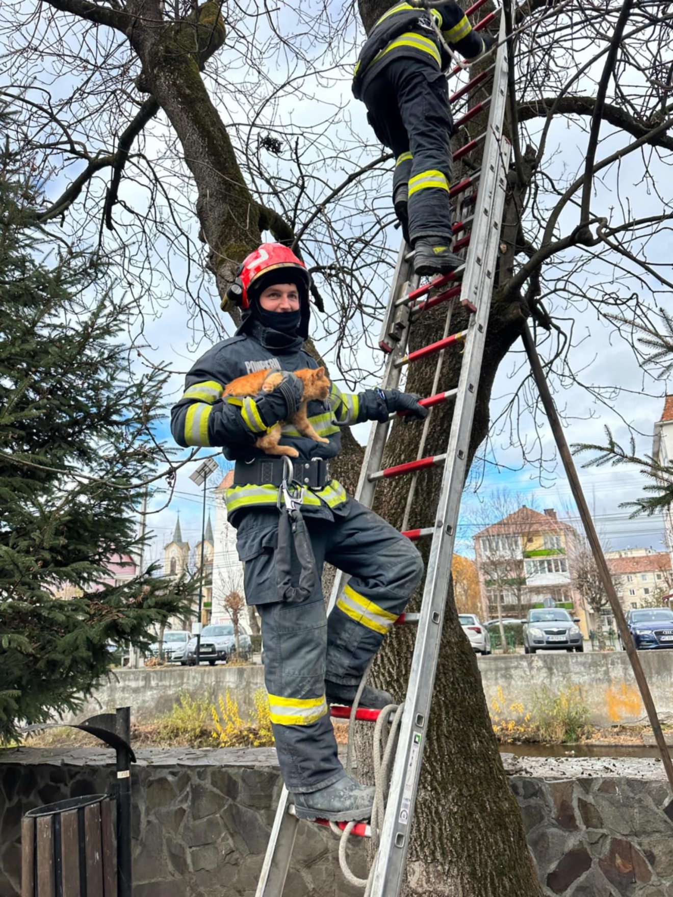 •  Fotó: Hargita megyei tűzoltóság