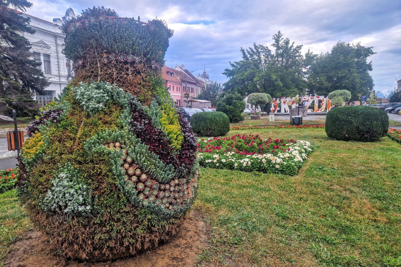 Mi lesz a virágokkal, ha a városi kertészet ember nélkül marad?