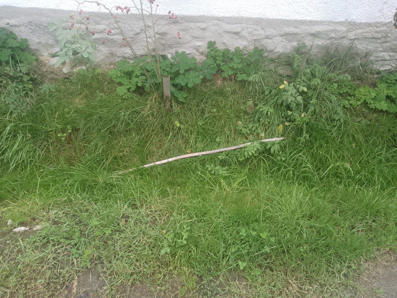 •  Fotó: Kocs Veronika