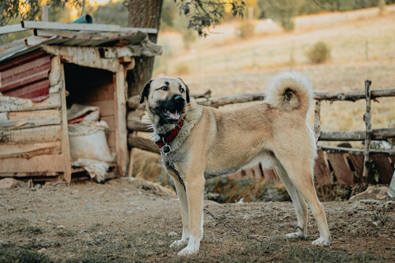 •  Fotó: Pexels