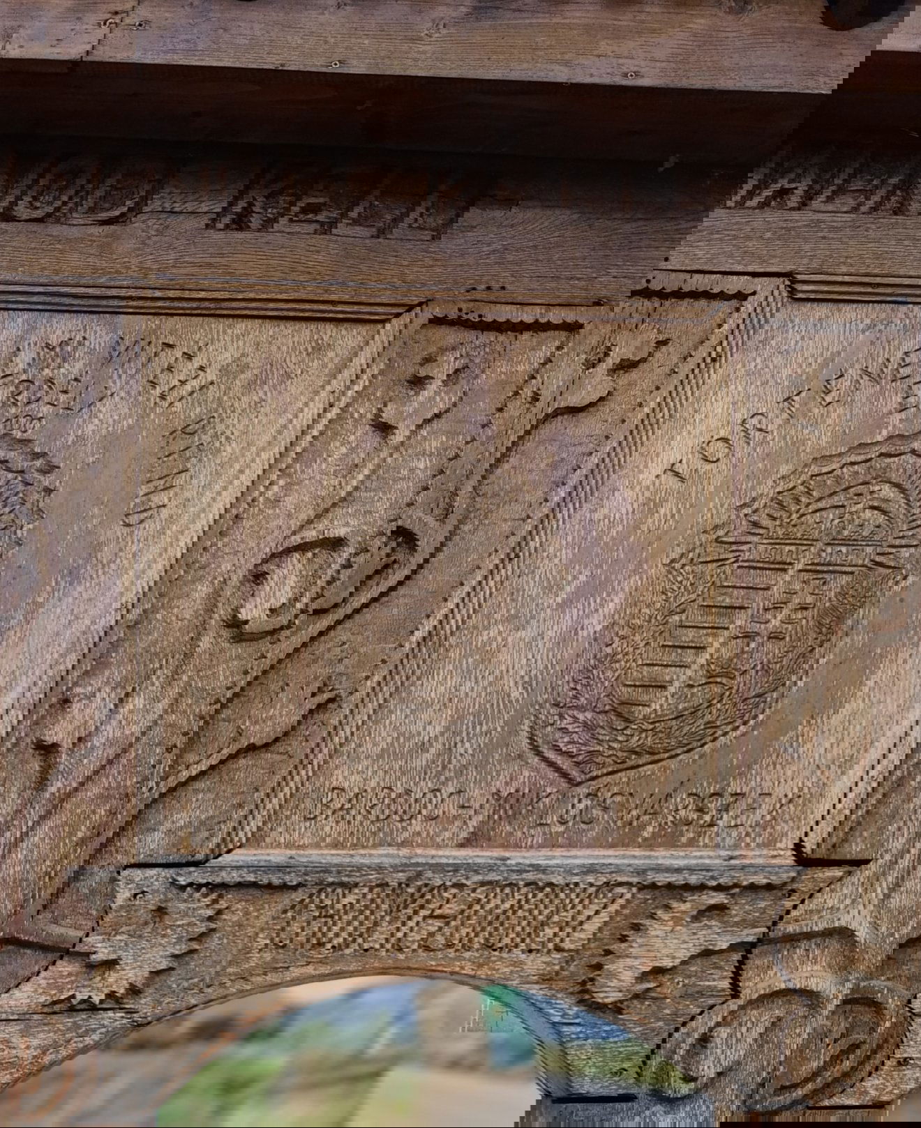 •  Fotó: Ilkei Árpád