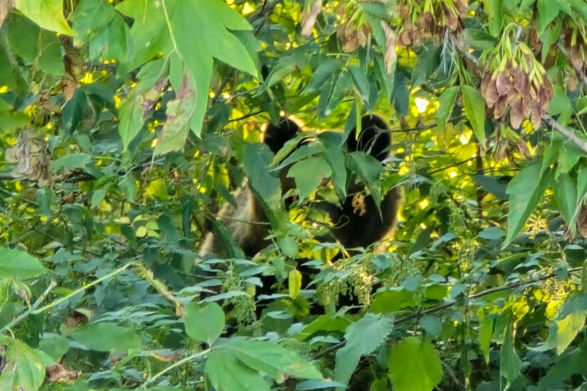 •  Fotó: Olvasói felvétel