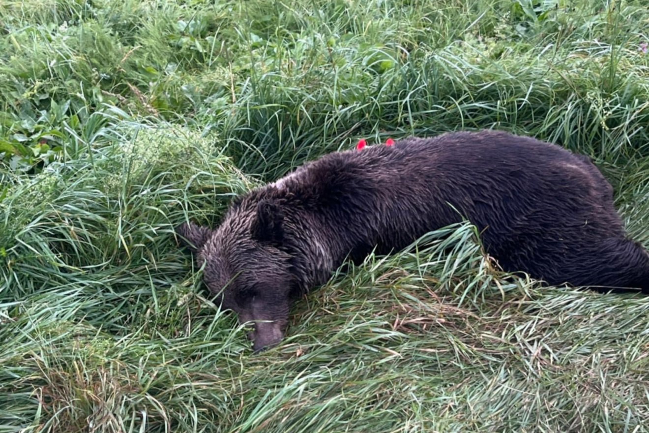 • Fotó: Olvasói felvétel