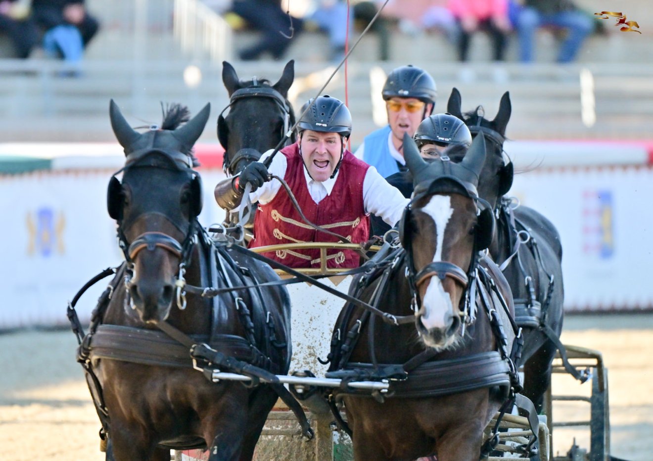 •  Fotó: Nemzeti Vágta/Facebook