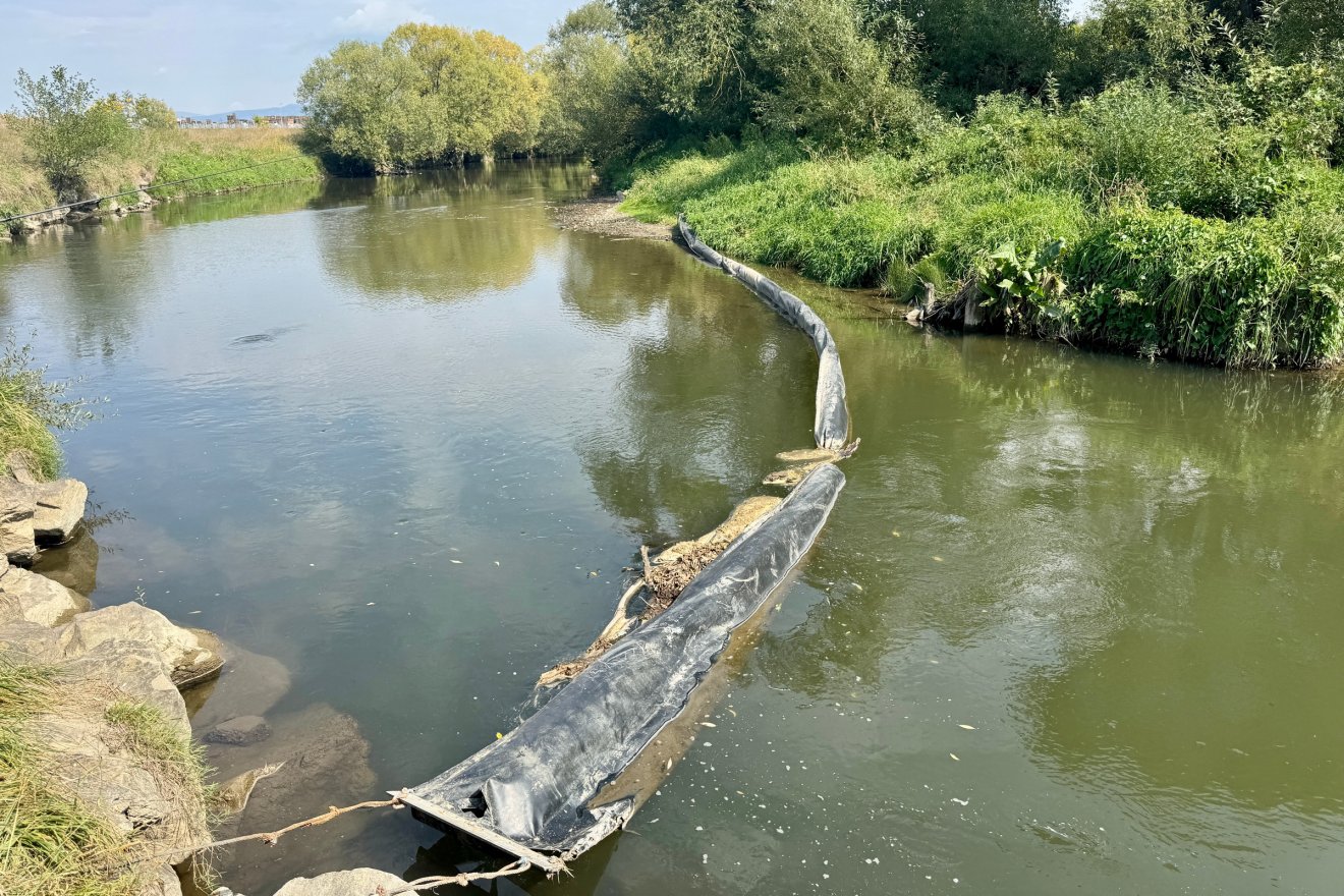 •  Fotó: TEGA Rt.