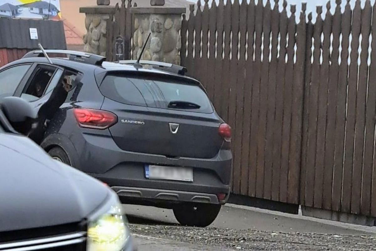 •  Fotó: Olvasói felvétel