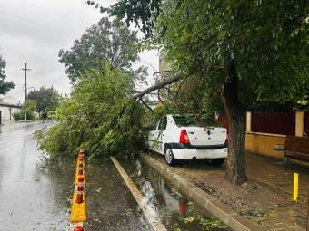 Fákat döntött ki a vihar Bukarestben, a hegyekben hóviharok okoztak fennakadást