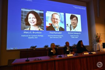 Remény az autoimmun betegségek kezelésére vagy gyógyítására – Három tudós kapja az orvosi-élettani Nobel-díjat