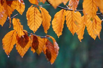 A hét végéig felmelegszik az idő