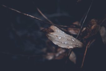 Az enyhe felmelegedést újabb lehűlés követi