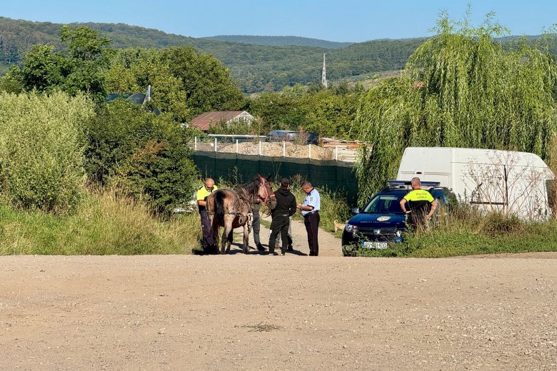 Azt próbálták beadni az őket igazoltató rendőröknek, hogy a szekeret is leadták ócskavasba, hogy megússzák a bírságot