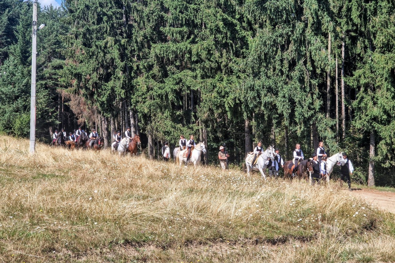 •  Fotó: Kocsis Károly