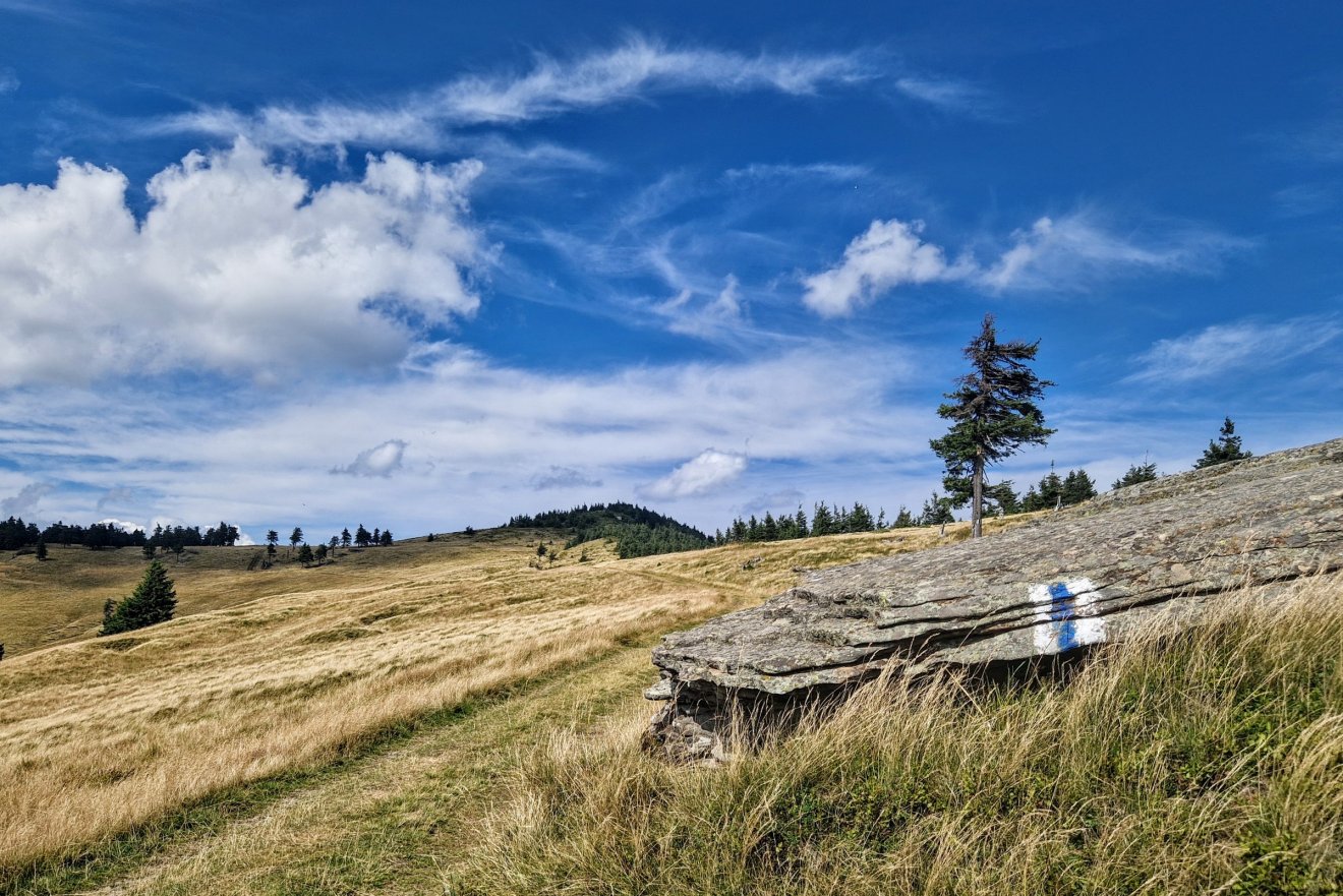 •  Fotó: Kocsis Károly