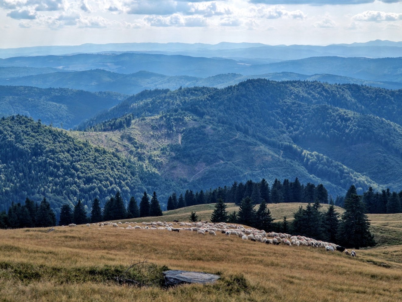 Nyugat felé nézve vajon melyik a legtávolabbi gerincvonulat? Mi a Bodoki-hegységre tippeltünk...