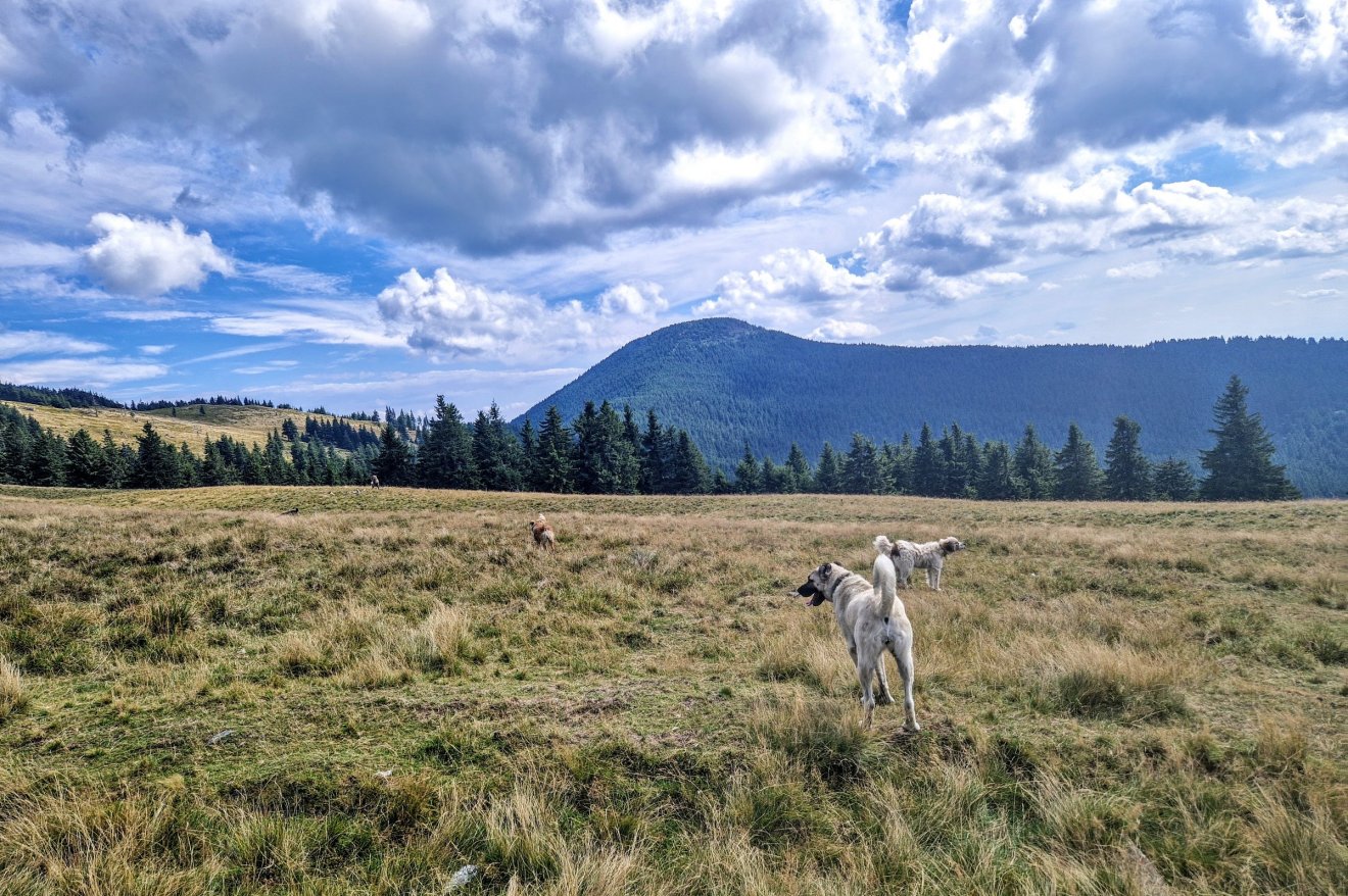 Amikor a barátaim szememre hányják, hogy miért nem gyalog, ilyen fotókat szoktam mutogatni
