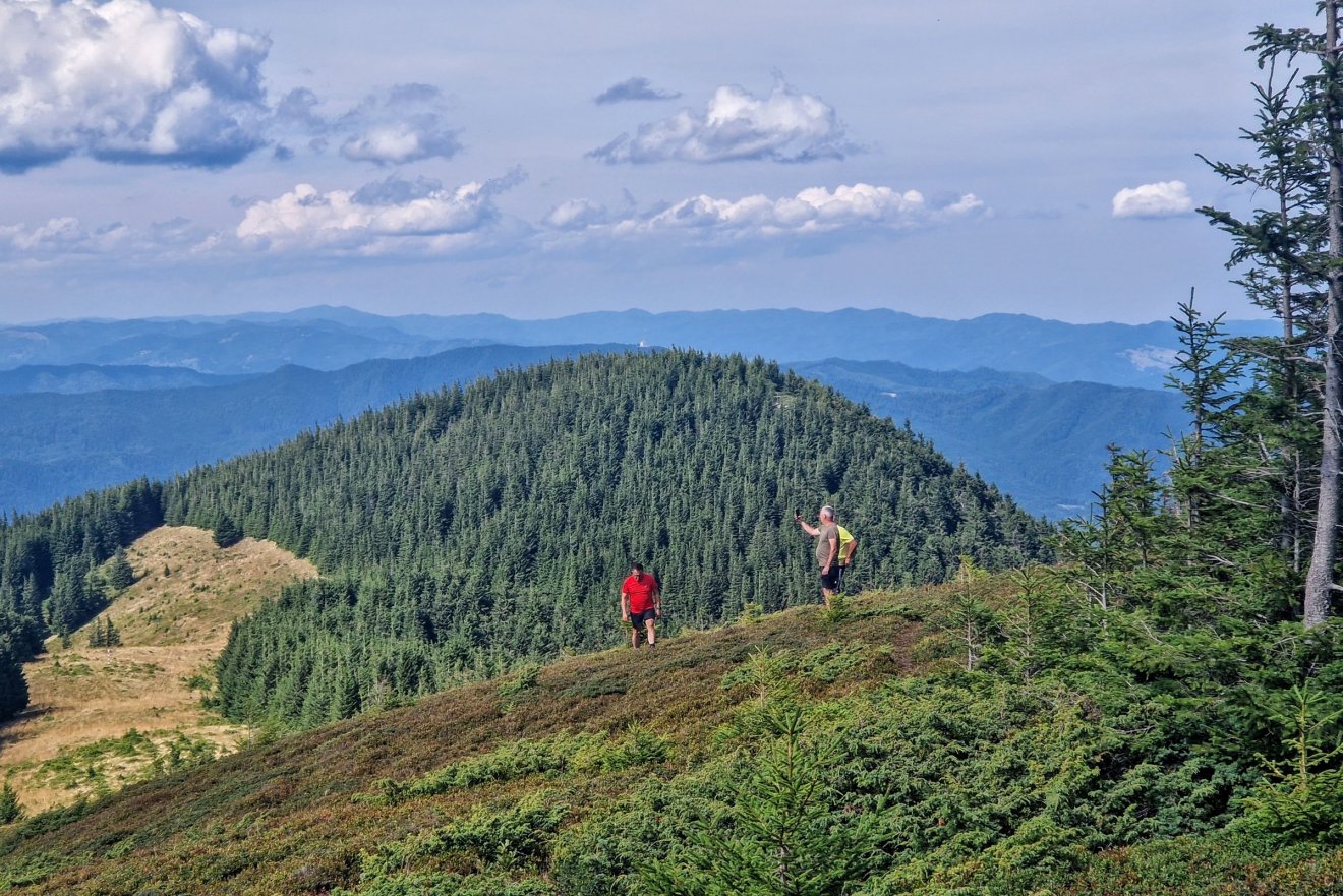 •  Fotó: Kocsis Károly