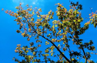 Csak a szokásos: szeptemberinek megfelelő lesz az időjárás a következő két hétben