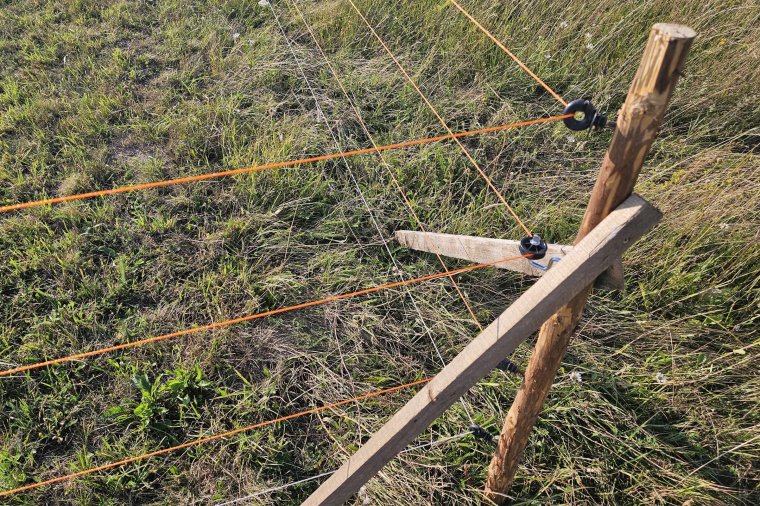 Elektromos kerítéseket finanszíroz a környezetvédelem a vadak ellen