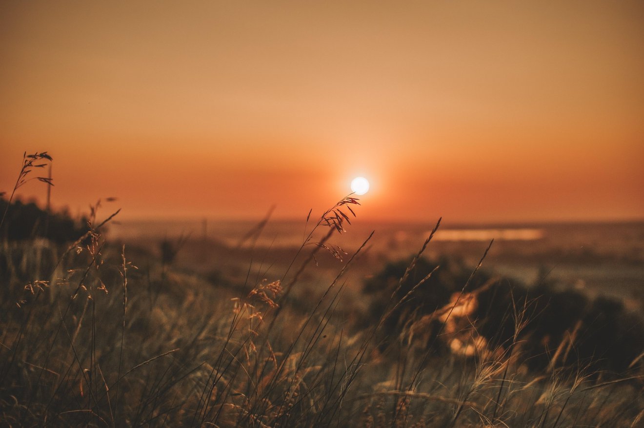 •  Fotó: Pixabay