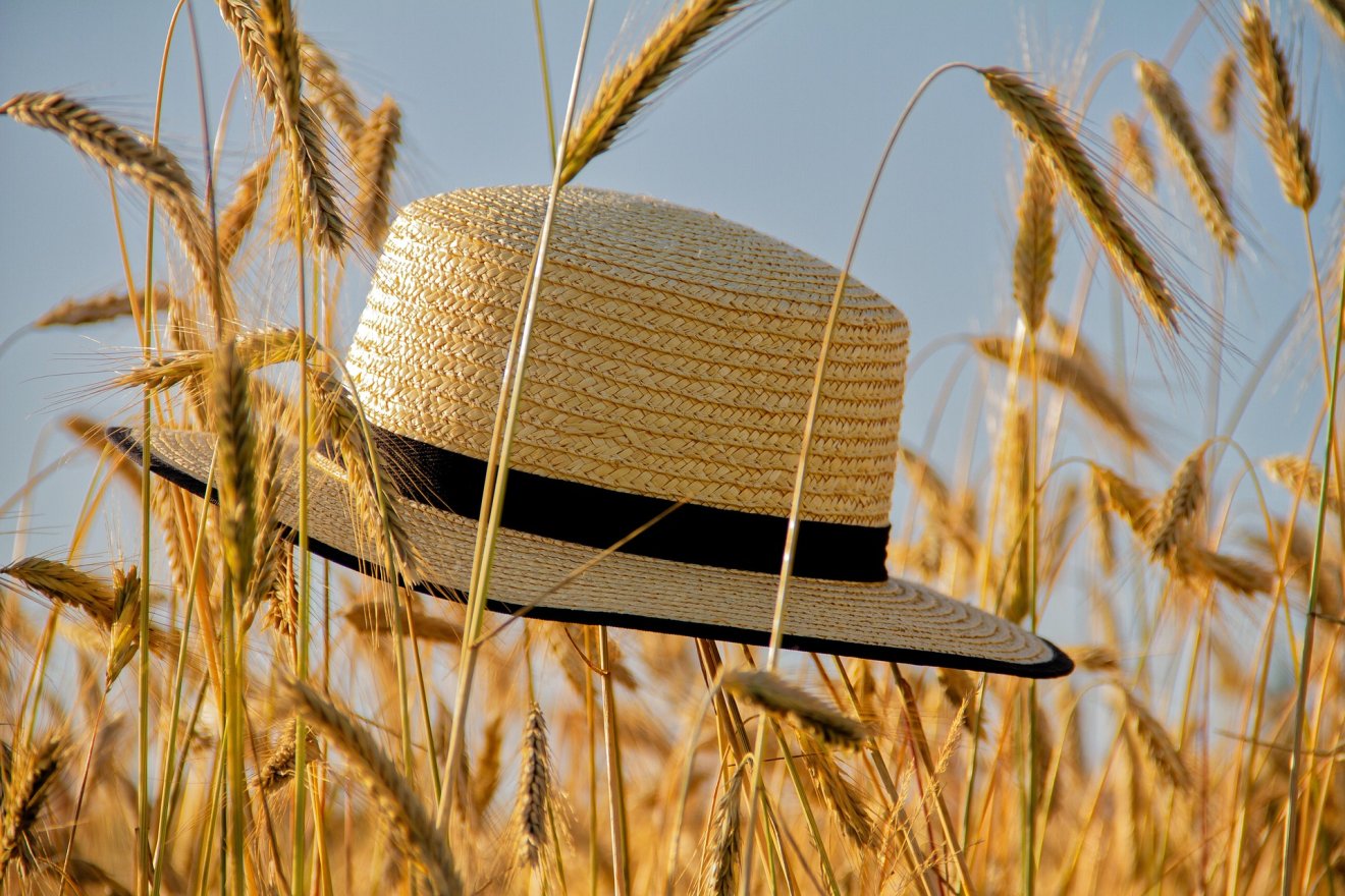 •  Fotó: Pixabay