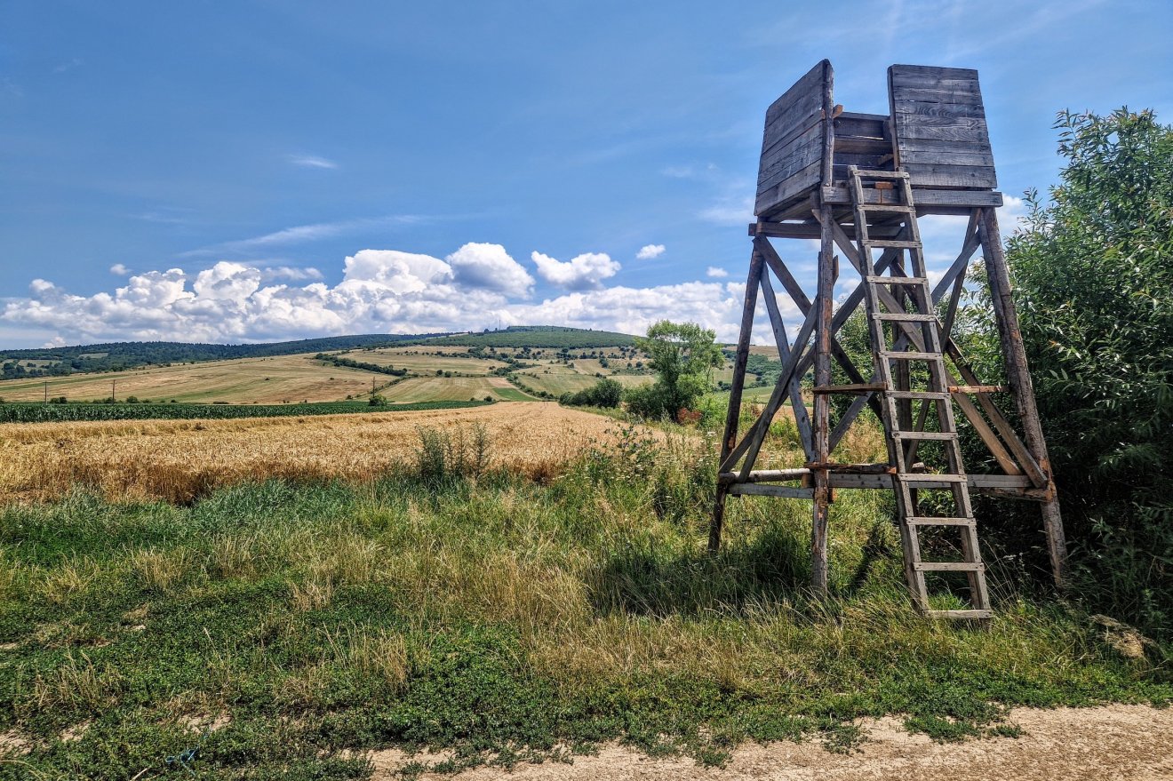 Erről a lesről lépett le a „lámpás” vadász, jelezvén, hogy éjszaka ő az úr a mezőn