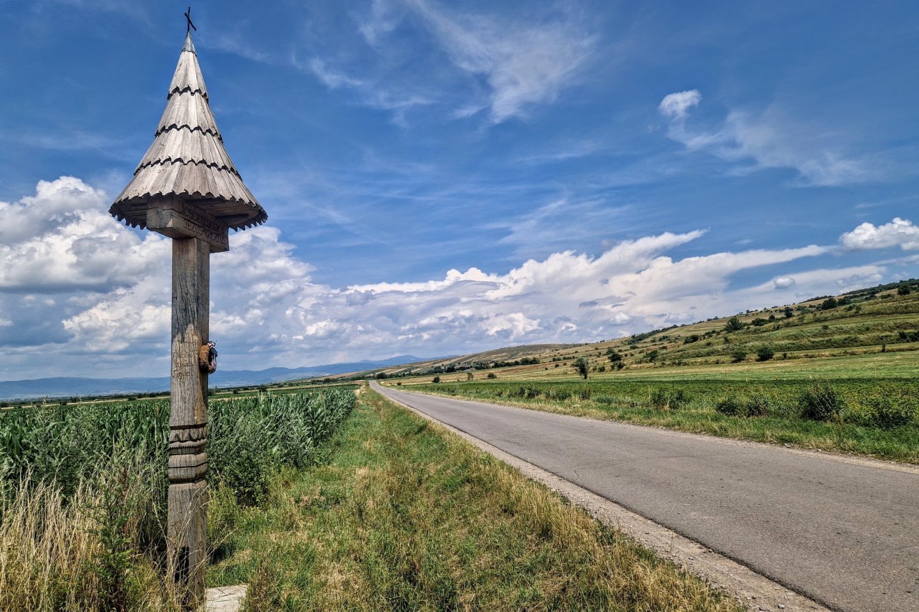 Az egész határban a Țara Bârsei bír vadászati joggal
