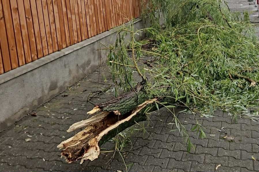 •  Fotó: Dr. Szilveszter Szabolcs / Facebook