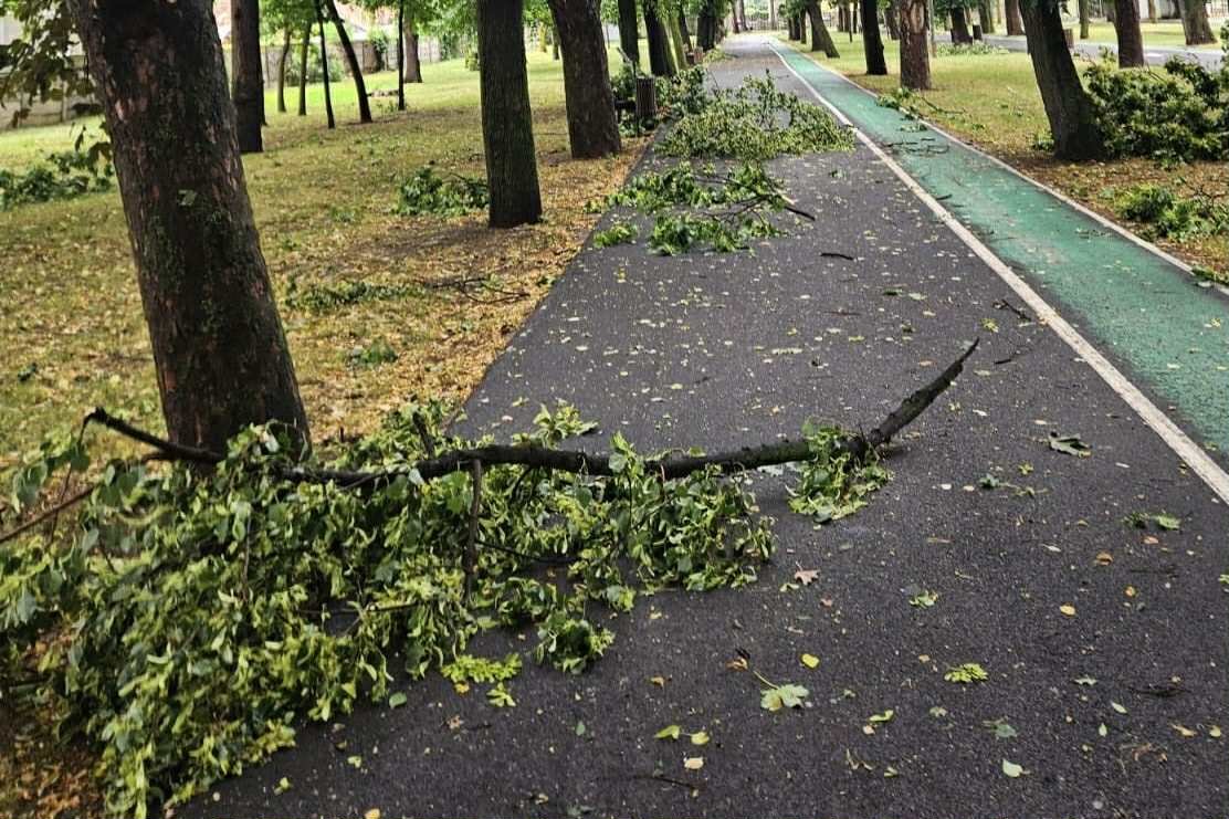 •  Fotó: Dr. Szilveszter Szabolcs / Facebook