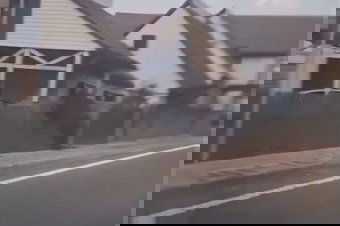 Úgy érzi, magára maradt a kárral, miután letörte a kerítését a riadt medve