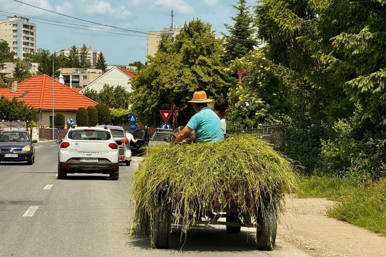 Újra a helyi rendőrség célkeresztjébe kerültek a városban közlekedő szekerek