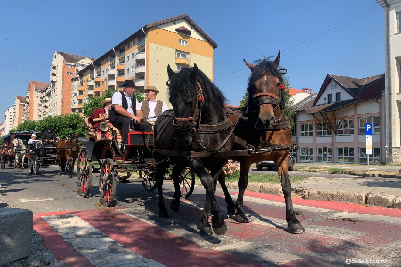 •  Fotó: Borbély Fanni