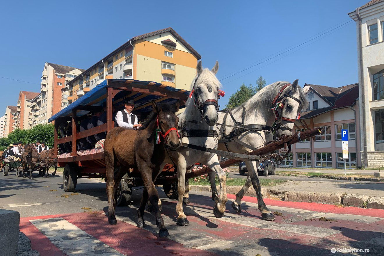 •  Fotó: Borbély Fanni