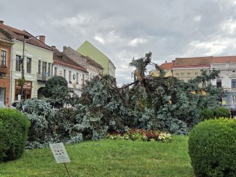 Fákat döntött ki a vihar Kézdivásárhelyen és Székelyudvarhelyen