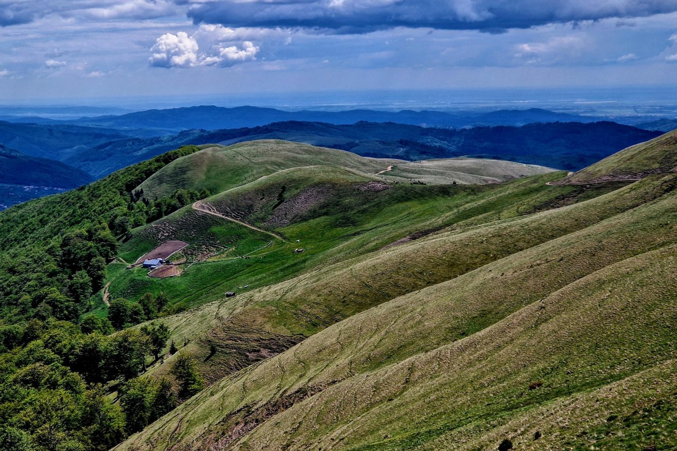 •  Fotó: Kocsis Károly