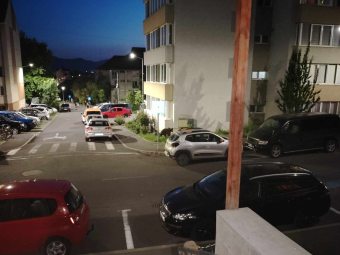 Megijedt a hatósági jelenléttől, egy fára menekült a csíkszeredai lakónegyedbe bemerészkedő medve