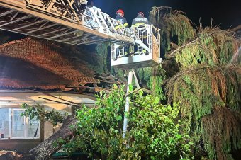 Károkat hagyott a vihar maga után Maros megyében