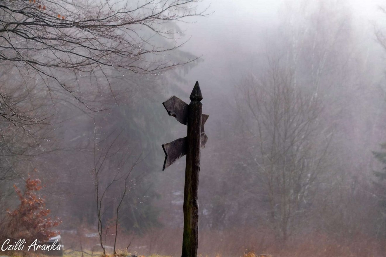 •  Fotó: Czilli Aranka/facebook