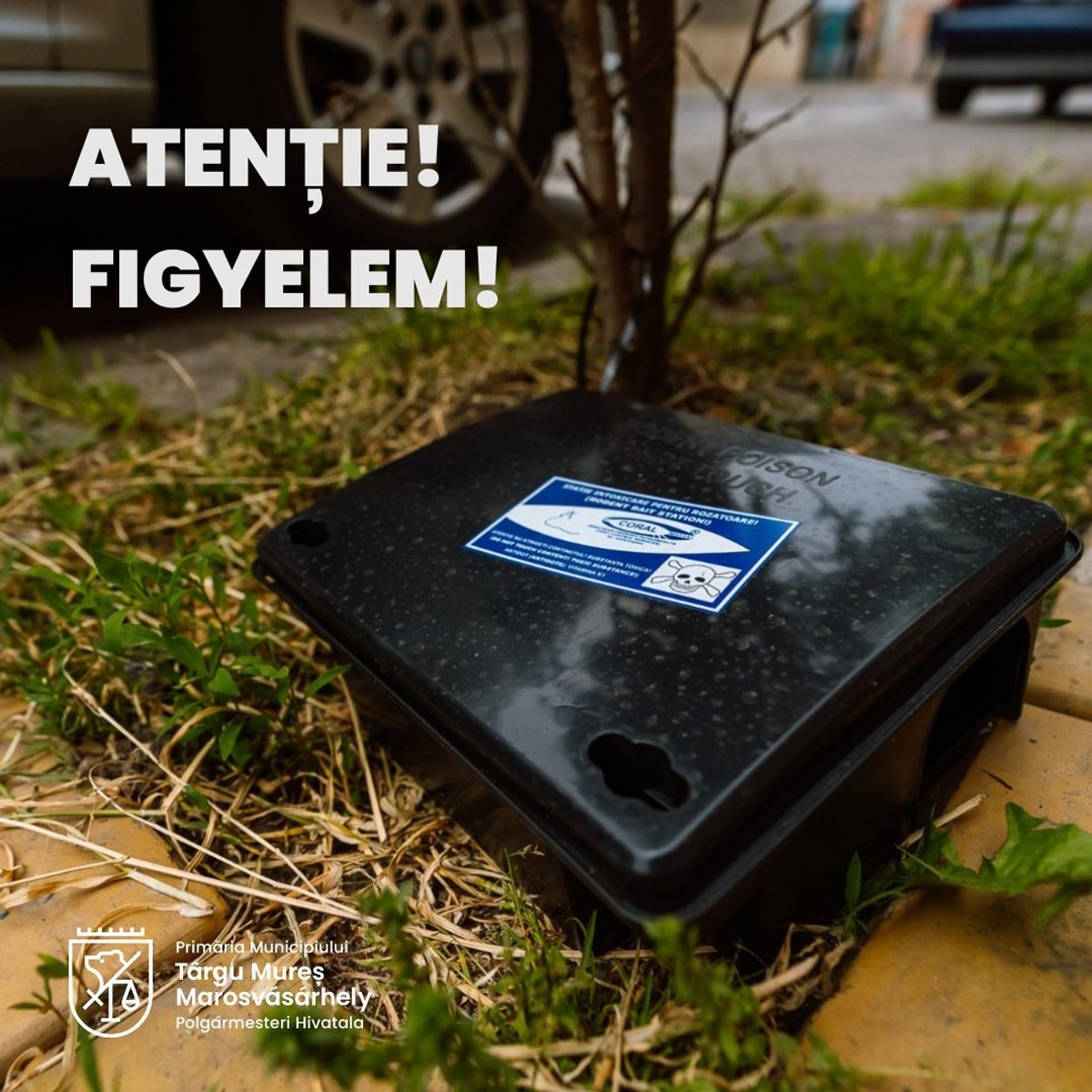 •  Fotó: Marosvásárhely Polgármesteri Hivatala