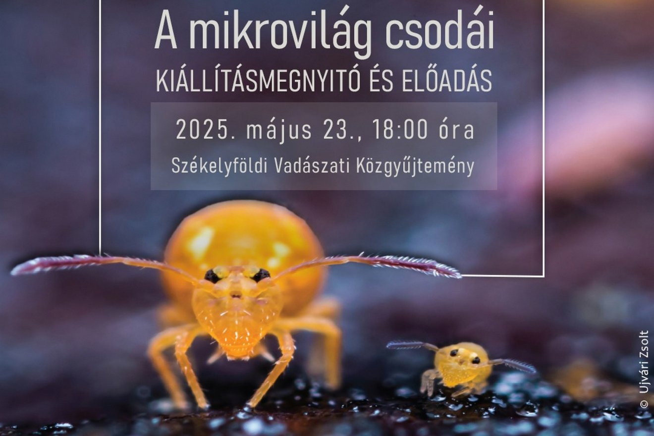 A mikrovilág csodái című kiállítást csütörtökön 18 órakor nyitják meg Ujvári Zsolt természetfotós jelenlétében
