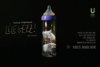 Beszélgetéssel értelmezik a színházi előadást