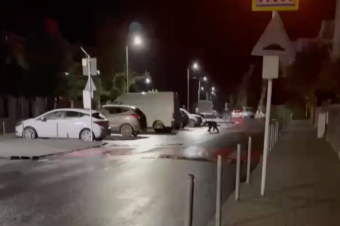 Medve járt az egyik kézdivásárhelyi utcában, lencsevégre is kapták
