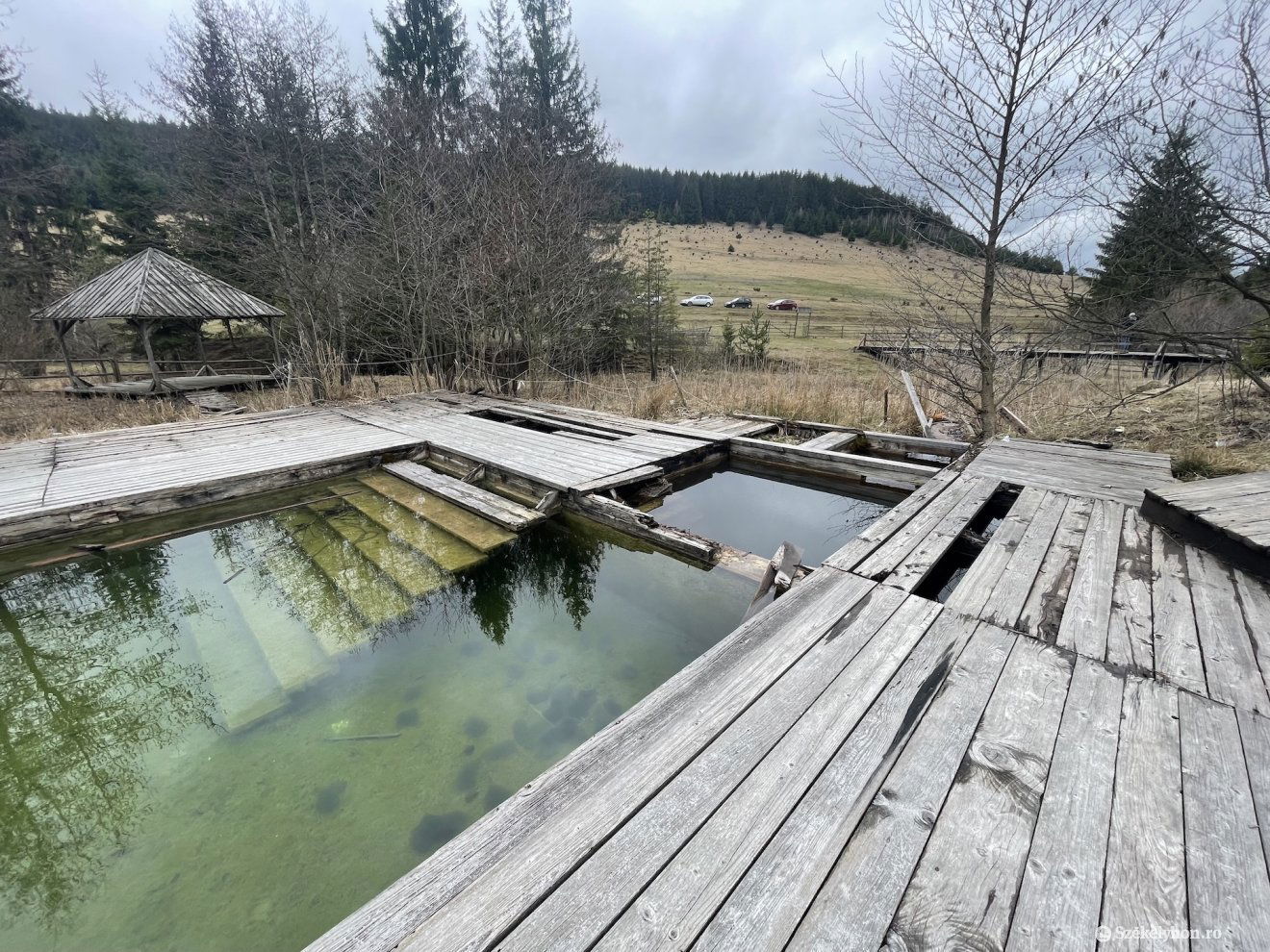 •  Fotó: Szilágyi Katalin