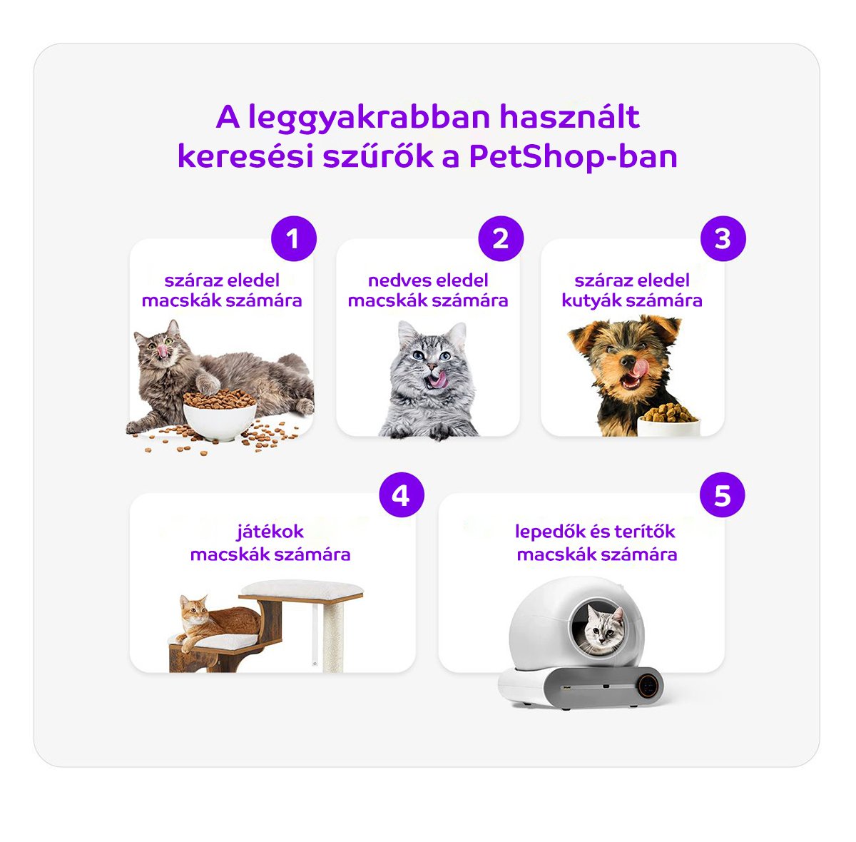 •  Fotó: eMAG